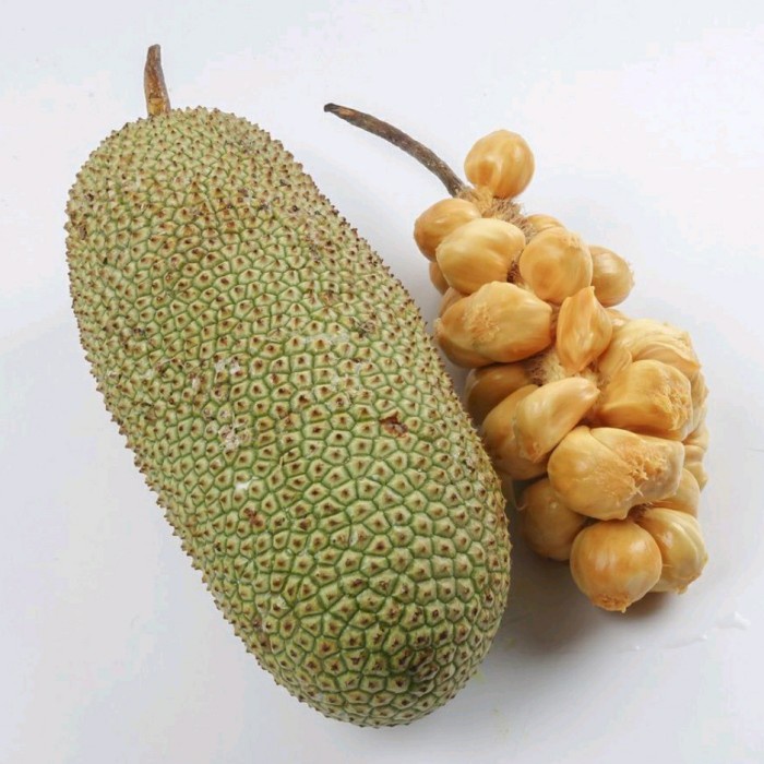 

buah nangka cimpedak manis( perbuah)