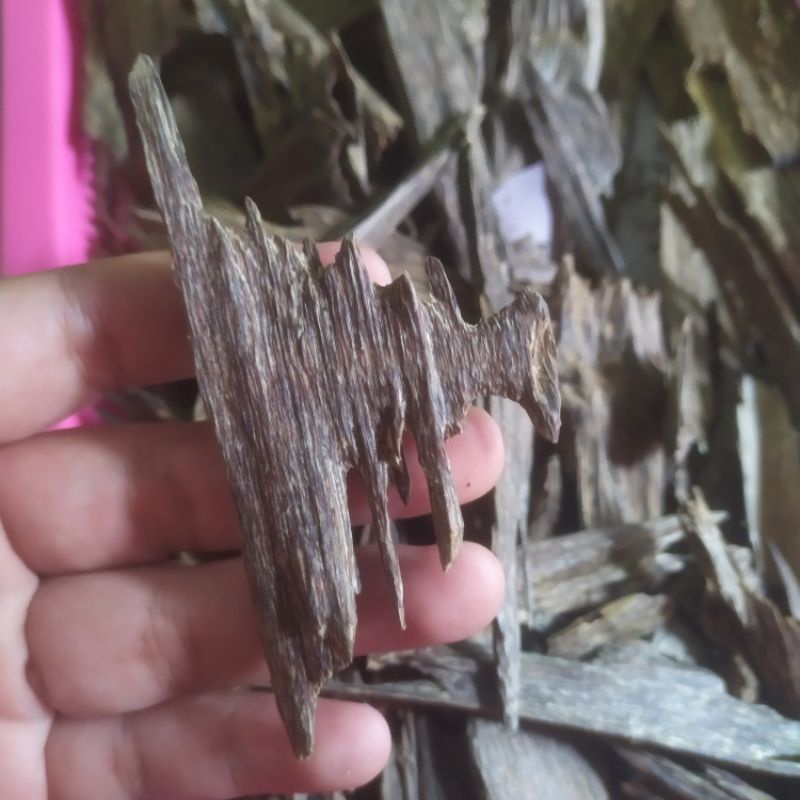 Kayu Gaharu Super Grade AA Aquilaria Malaccensis Alami Kalimantan Gaharu Asli Buhur Buhkur Dupa Arab