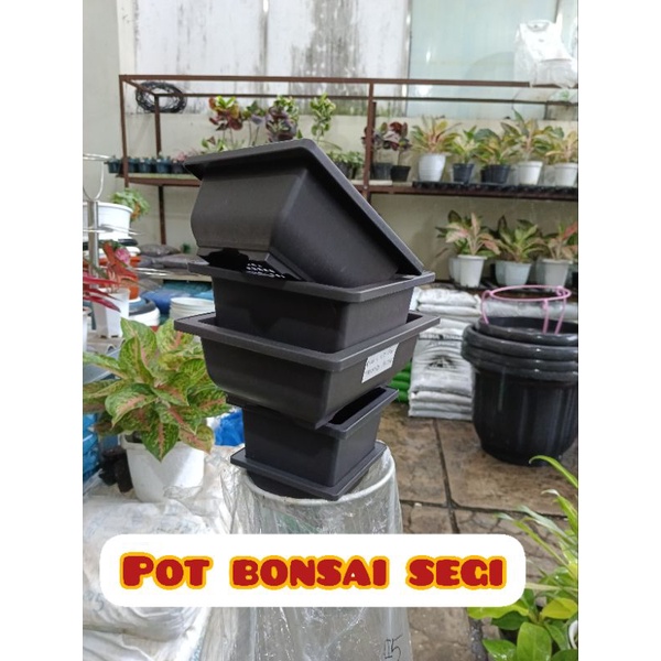 Pot plastik Bonsai Segi - Pot bunga/tanaman hias bonsai model segi bahan tebal