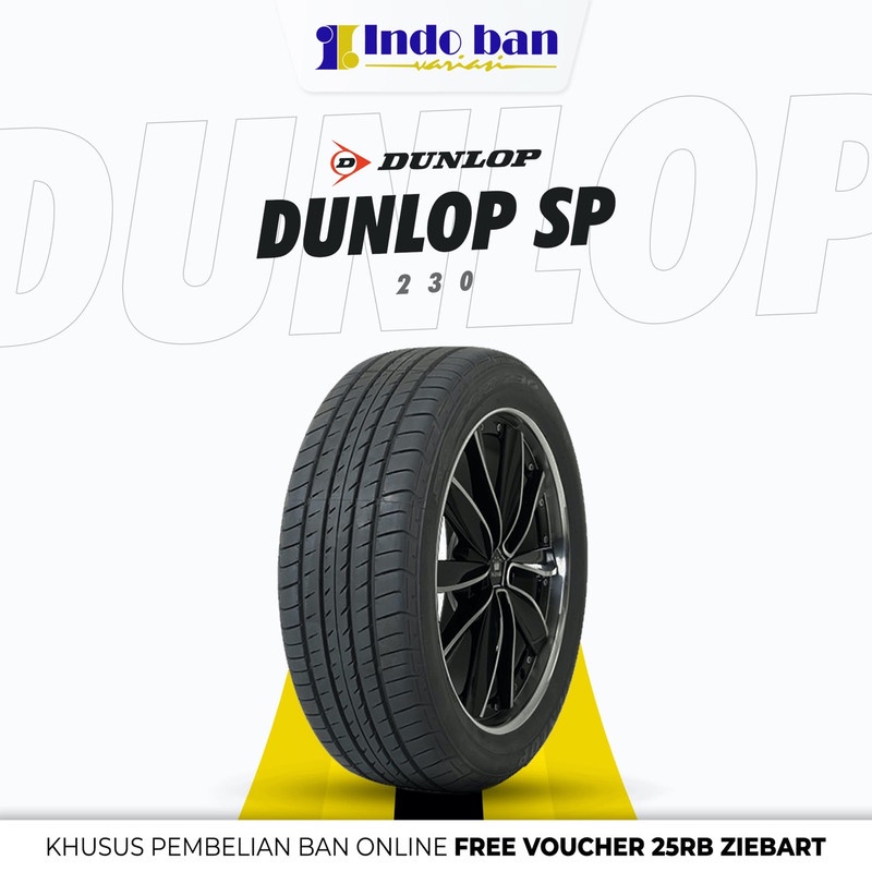 Ban Dunlop SP 230 195/65 VR 15 R15