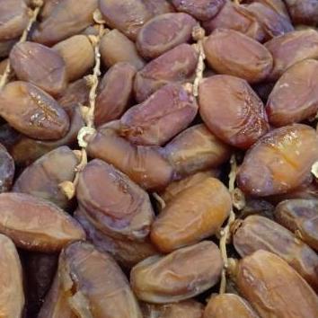 

♜ kurma palm frutt tangkai tunisia palm frutt 1kg kemasan dus ✫