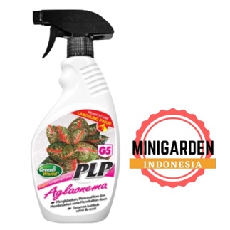 PLP AGLAONEMA 480 ML PUPUK CAIR SIAP PAKAI kilap daun tanaman hias daun corak batik daun tebal