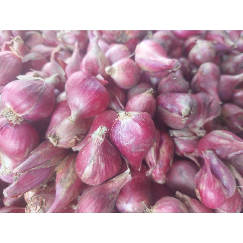 

Bawang Merah Brebes Grosiran