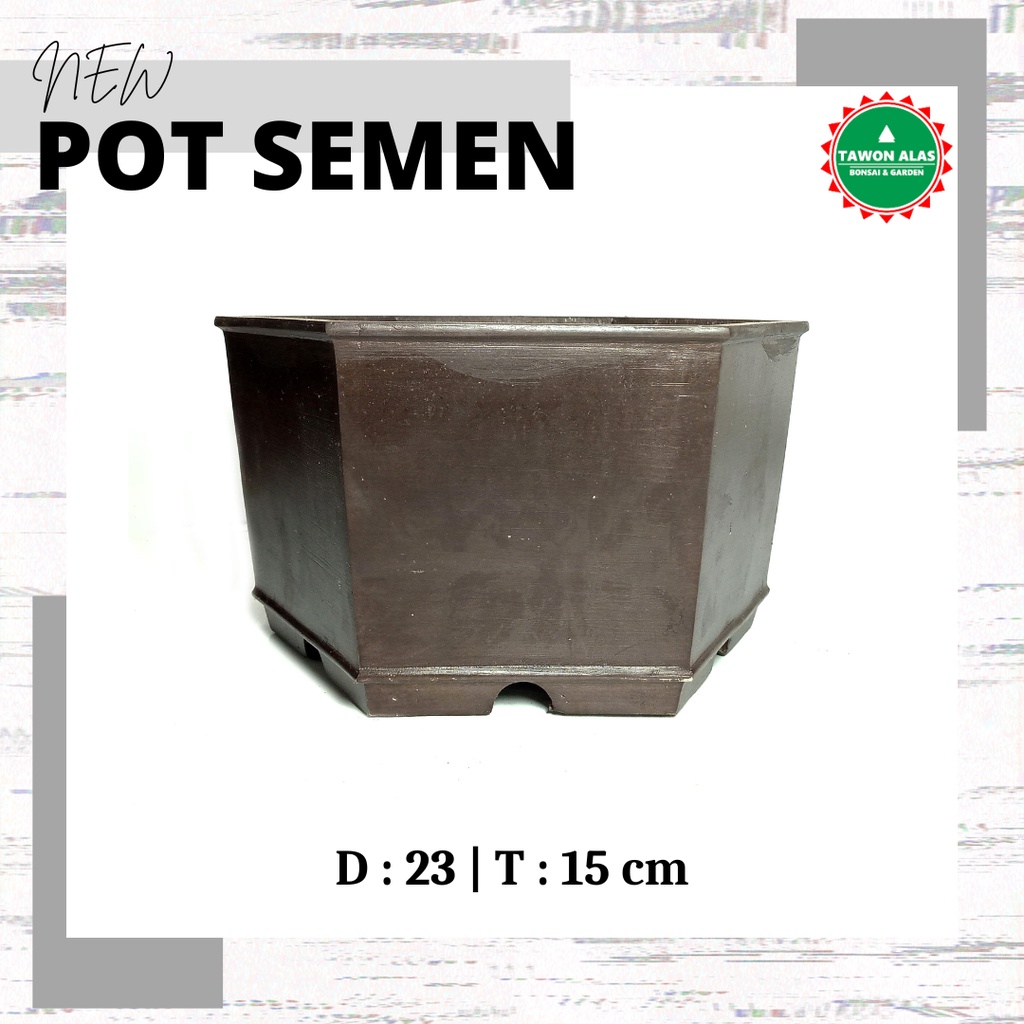 Pot Bonsai Semen Segi Enam Small Medium