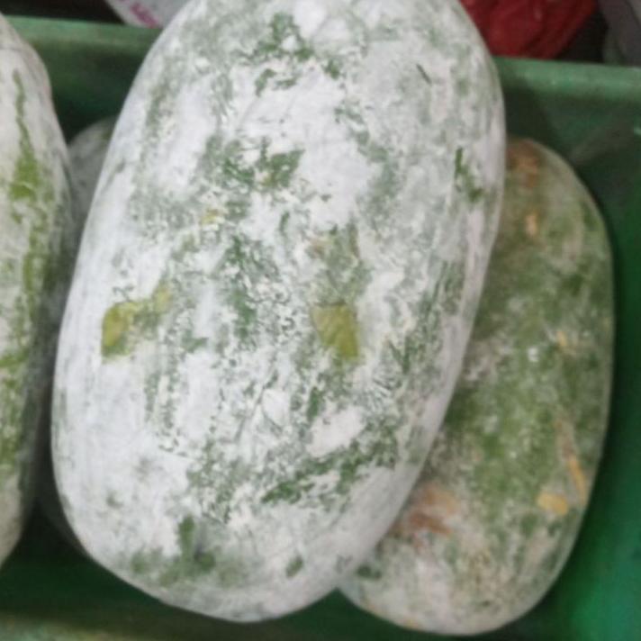 

➸ buah bligo tua super besar ☟