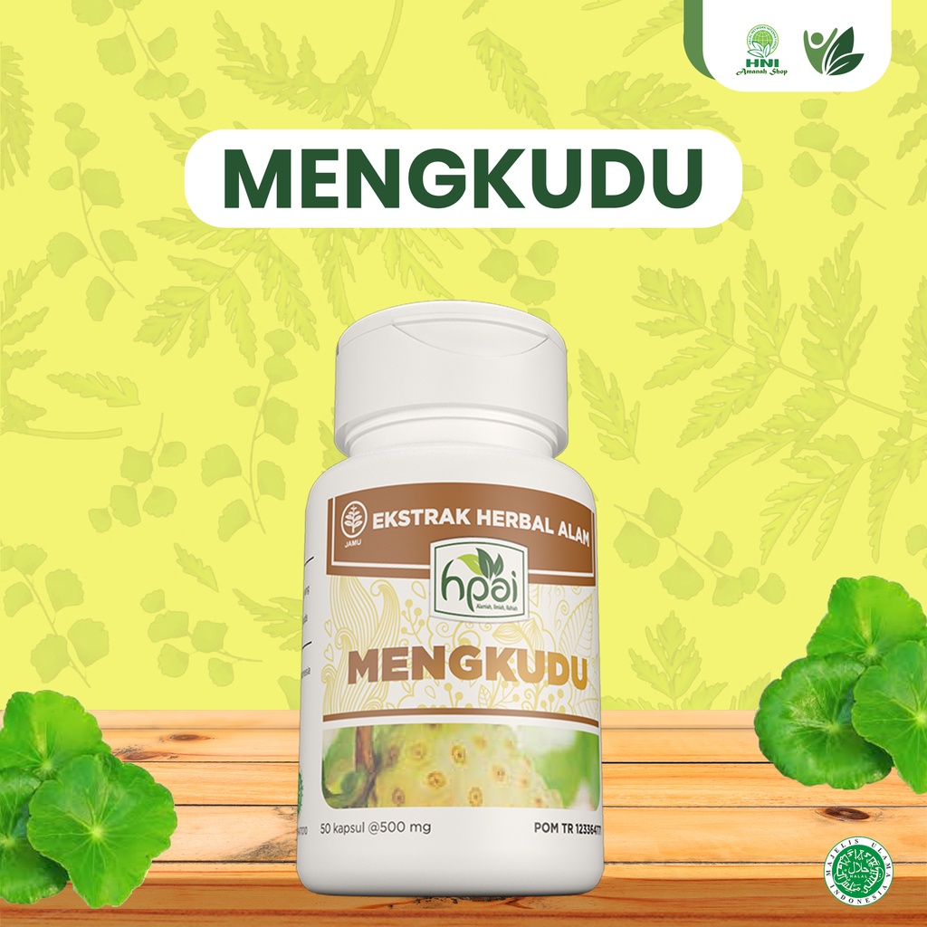 Mengkudu Kapsul HNI HPAI