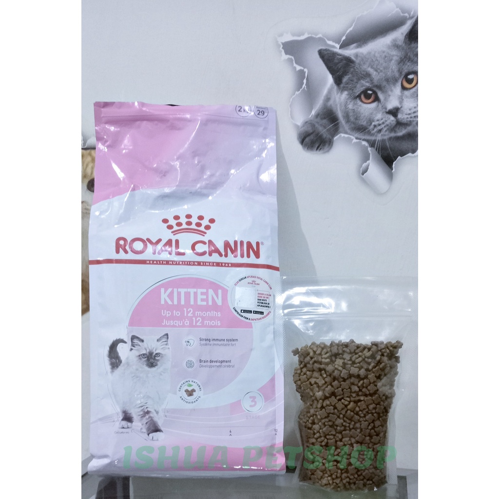 Royal Canin Kitten Repack 500 Gram