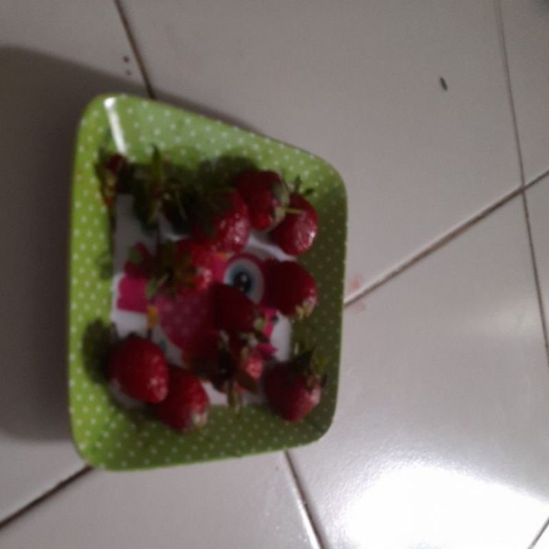 

Strawberry Medan merah