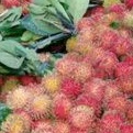 

Buah segar Rambutan Subang fresh per 2 ikat