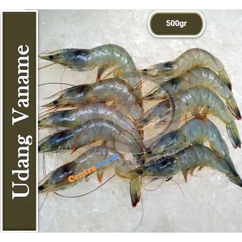 

Udang Vaname - Udang Putih Fresh | SIZE S 500gr [ Harga Per 0,5 Kg ]