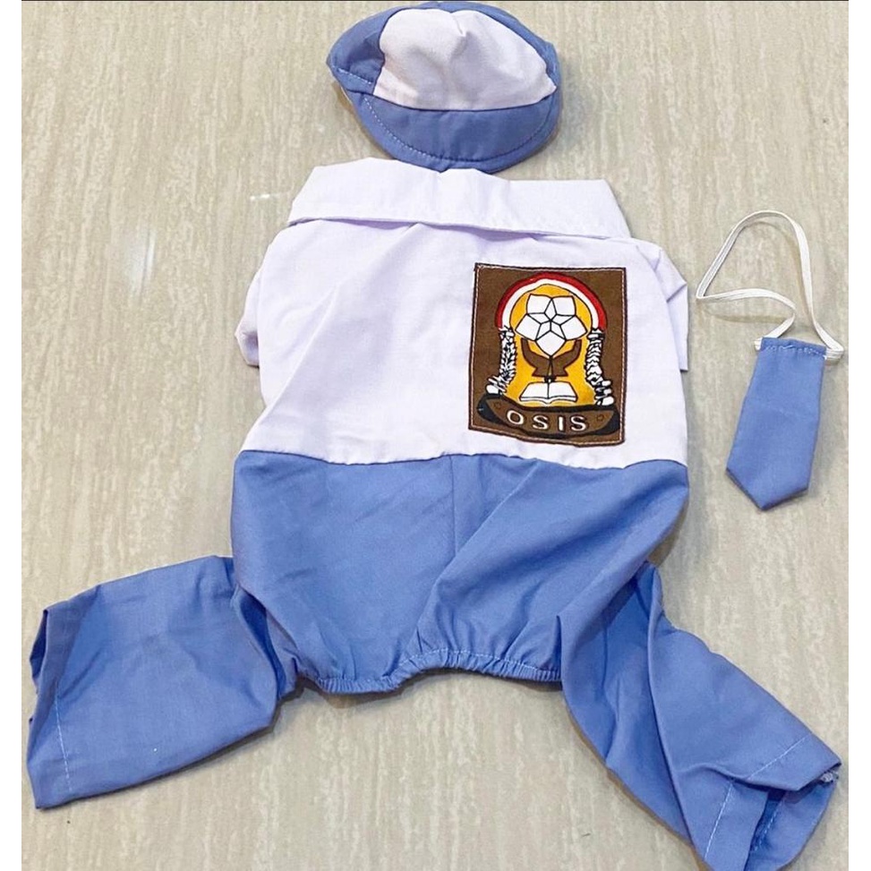 Baju Anjing Kucing Seragam Sekolah SMA School Uniform