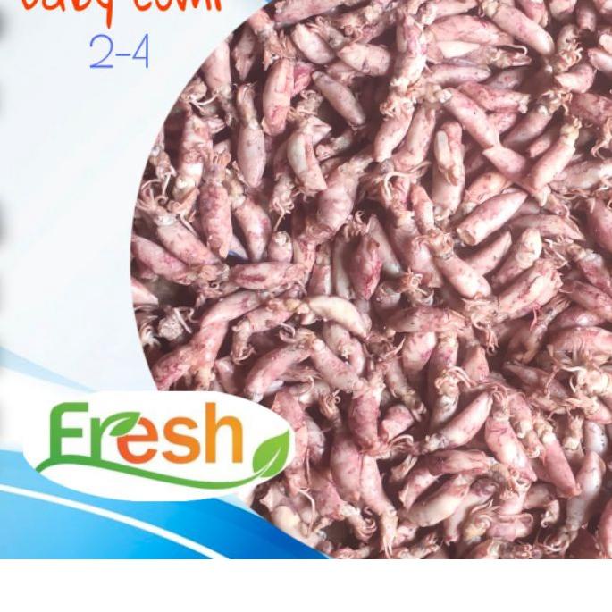 

♣ CUMI ASIN 500 GRAM BABY CUMI ASIN 500 GRAM ❈