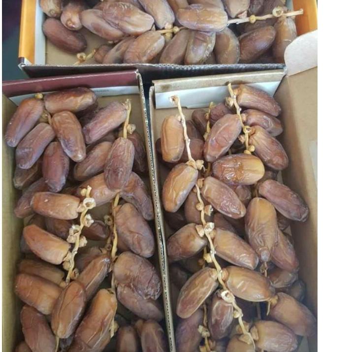 

◄ KURMA TANGKAI EL RIAD DATES 500gr/ TUNISIA TANGKAI ➳