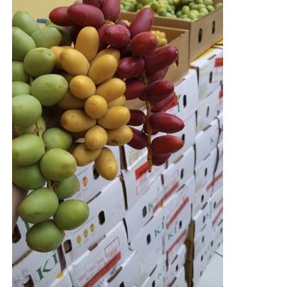 

▲ READY KURMAMUDA BUKAN FROZEN (FRESH) free zuriatbelah dan rahim (PEMBELIAN KURMAMUDA LANGSUNG DIKASIH BONUS, BIAR LEBIH MAKSIMAL ) ➶