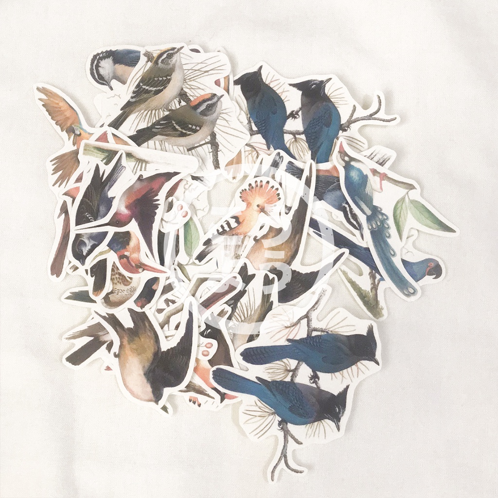 

35 pcs Stiker HVS Gambar Bird/Burung untuk Jurnal / Scrapbook / Freebies (Pack O7)