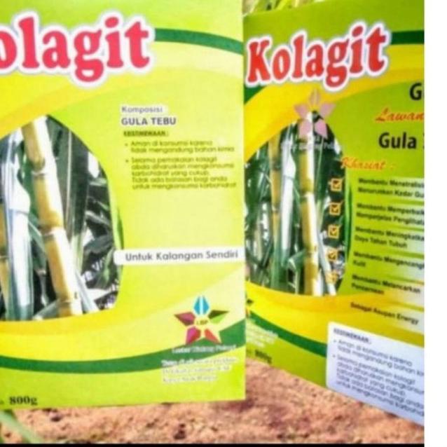 

♦ Kolagit asli medan ✻