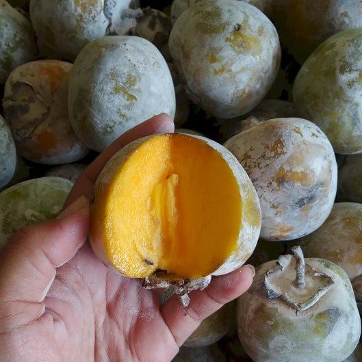 

♗ Buah Kesemek Persimon/ buah genit 1 kg Manis Segar ➦