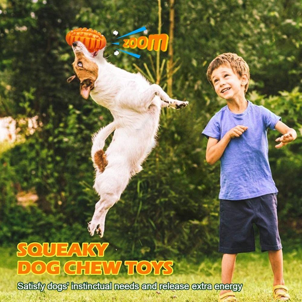 [Elegan] Mainan Mengunyah Anjing Karet Alami Tahan Lama Membersihkan Gigi Mainan Lempar Anjing Interaktif Bermain Luar Ruangan Mainan Latihan Hewan Peliharaan