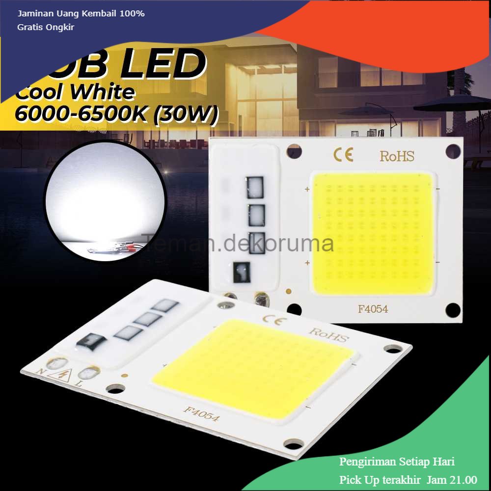 TD - LMP Arcomm Chip LED Lampu COB Spotlight Cool White 6500K 220V 30W - A-22