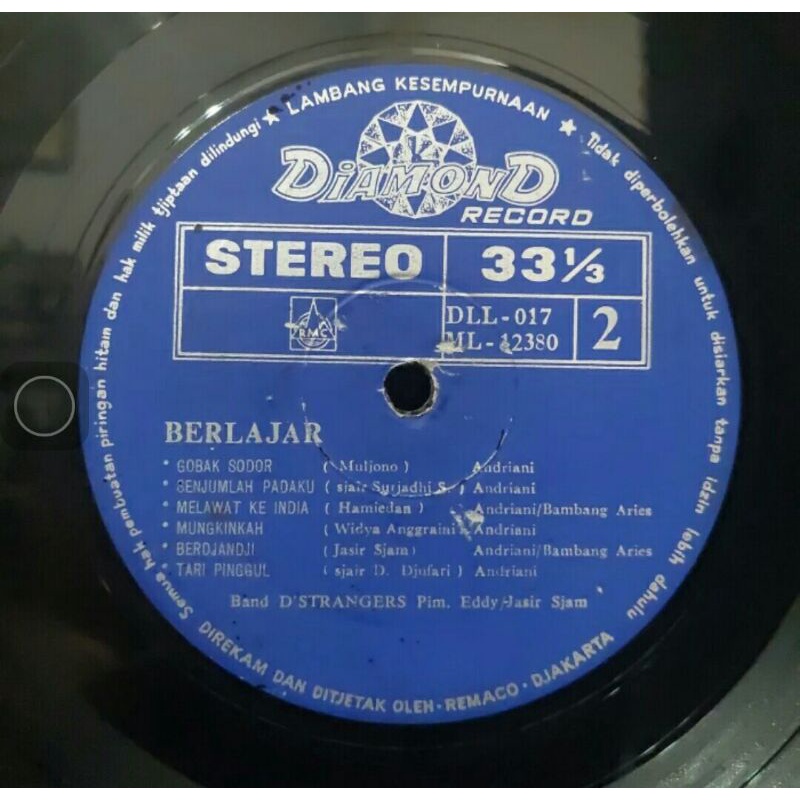 Vinyl Piringan Hitam 12 inchi Andrianie Berlajar