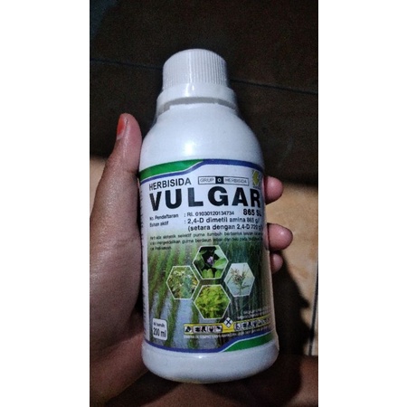 vulgar 200ML/ Vulgar / Vulgar Herbisida Sistematik