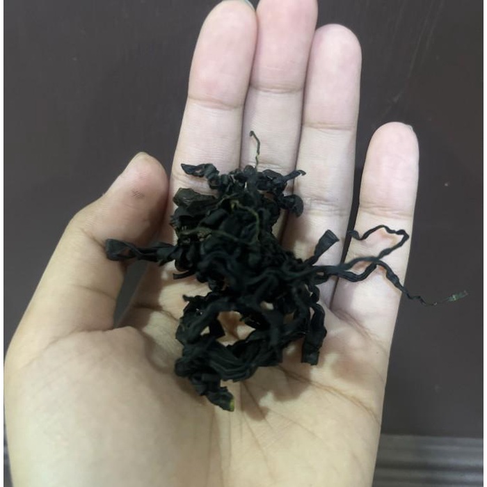 

Rumput lau qun dai cai hai dai 100gr Best Seller