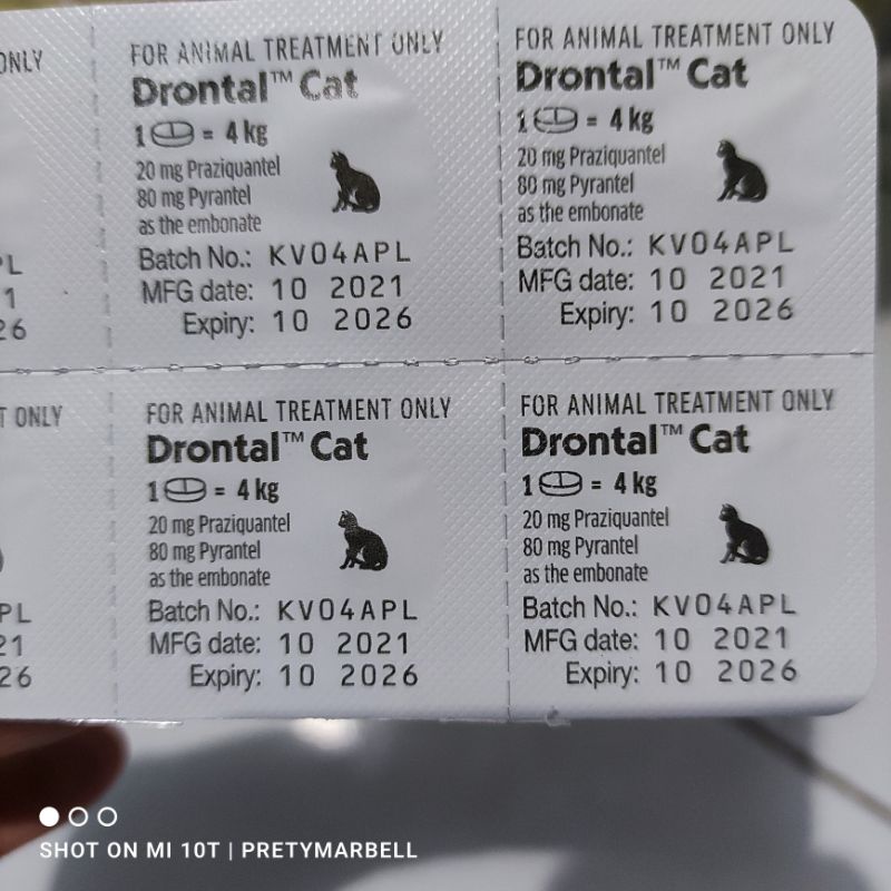 Drontal Cat / Obat Cacing Kucing