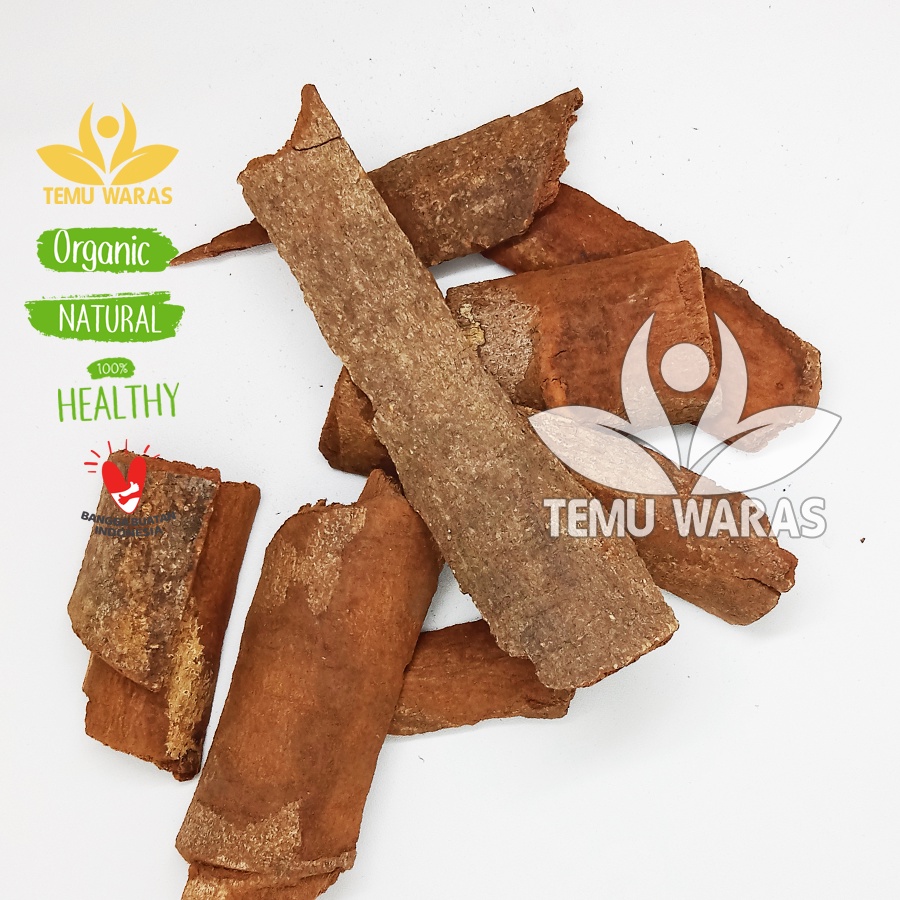 

Kulit Kayu Sintok Kering 100gr Asli Hutan Grade A
