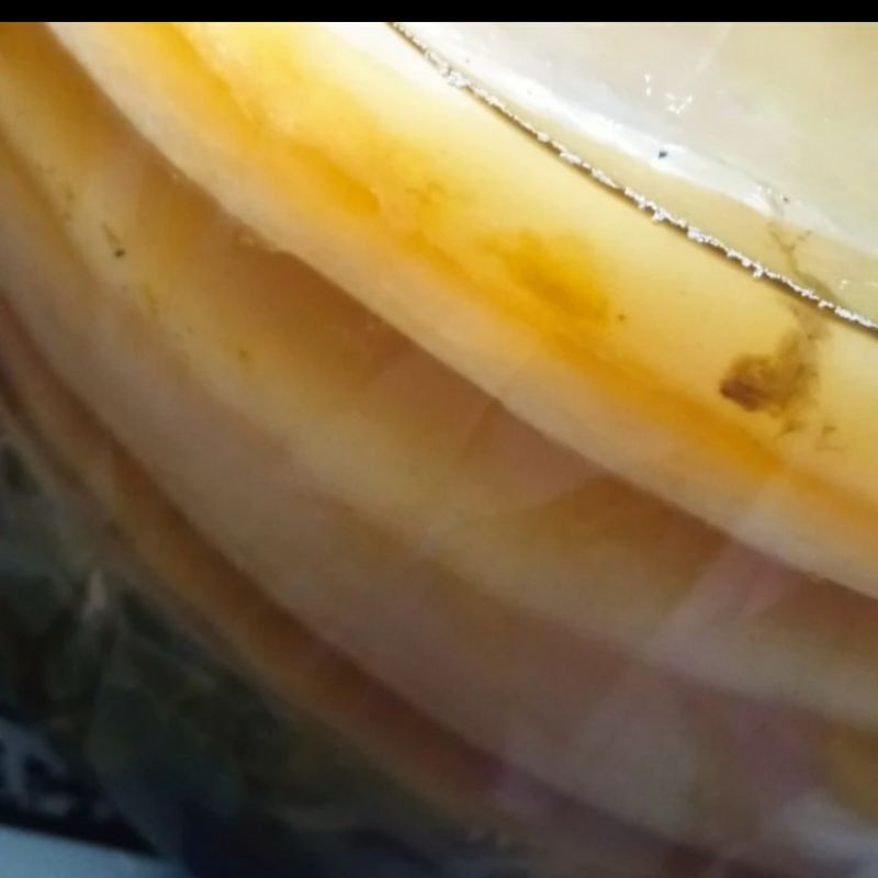 

Bibit Scoby Jamur Kombucha Super Dapat Dua lembar Scoby HANA KOMBUCHA