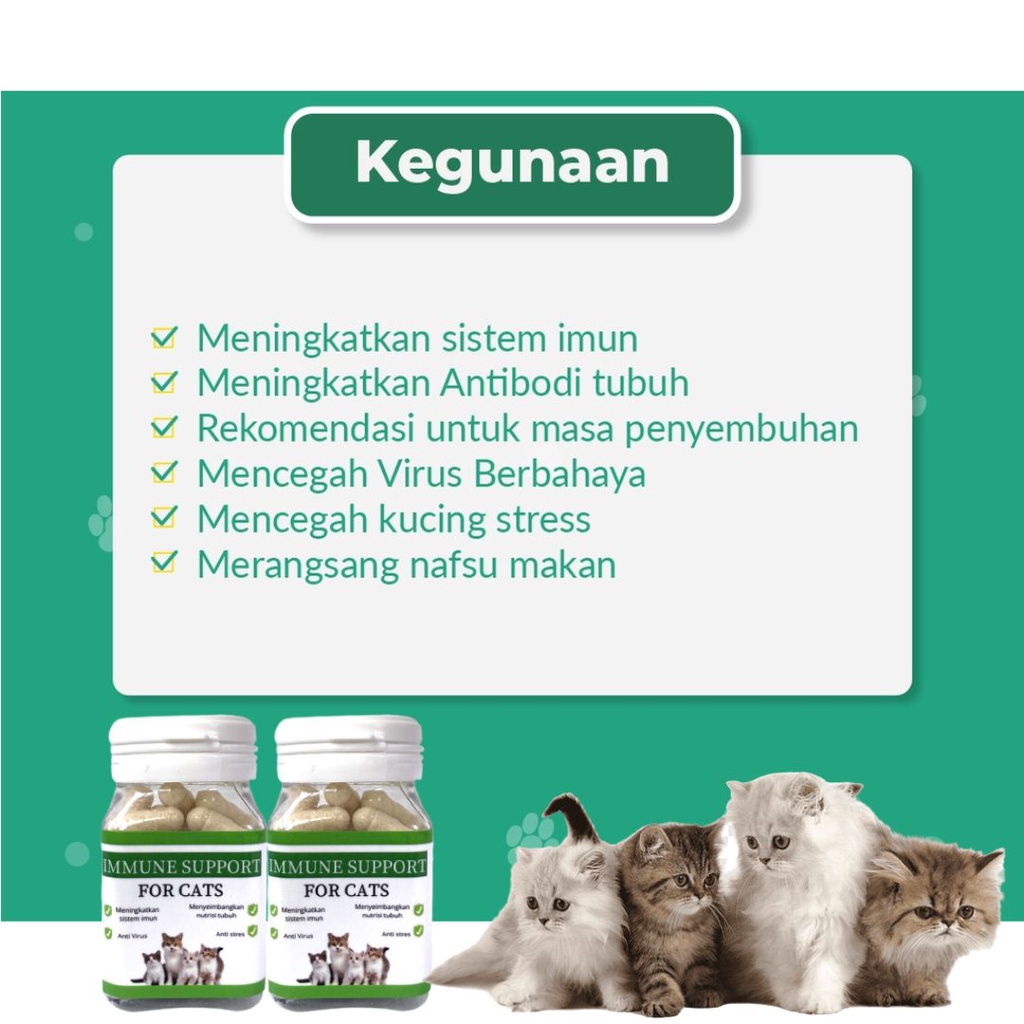 Vitamin Imun Kucing Anti Virus Meningkatkan Sistem Imun Anti Stres Immune Support Harga Per Kapsul FEFARM