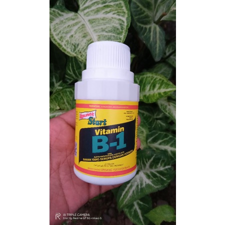 Liquinox Start Vitamin B1 100ML