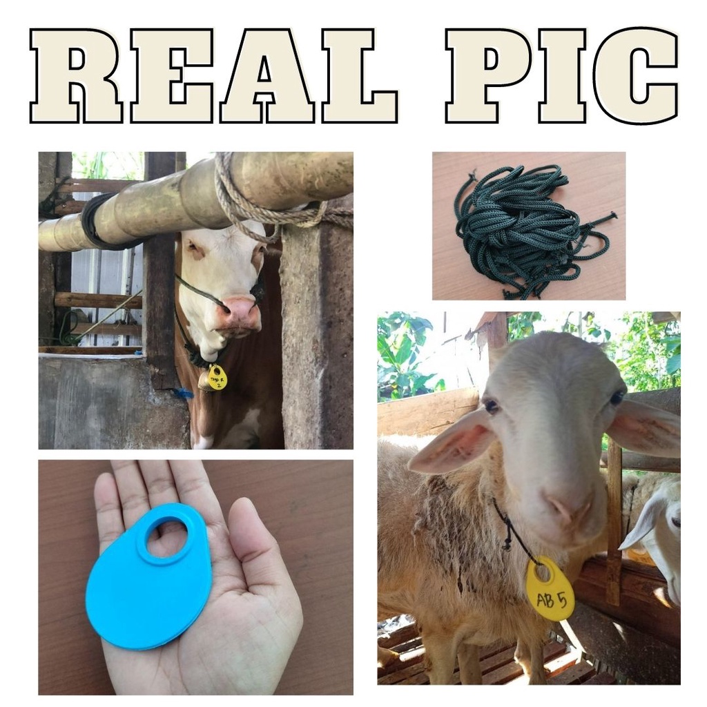 NECK TAG NECKTAG KALUNG TERNAK (1pcs) SAPI DOMBA KAMBING APLIKATOR FEFARM