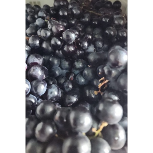 Anggur bali 1kg