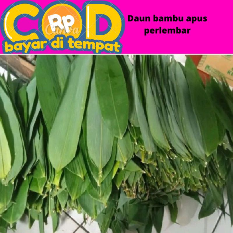 

daun bambu apus segar untuk bungkus bakcang perlembar