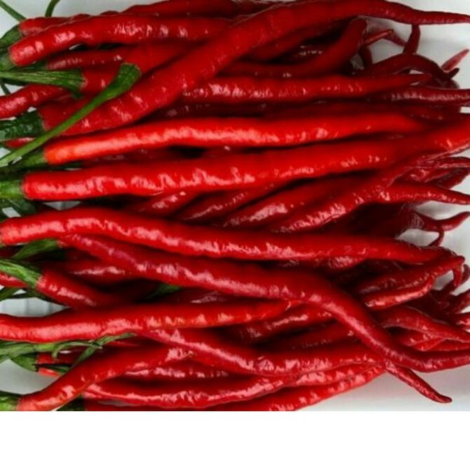

☪ Cabe merah keriting 1 kg ➪