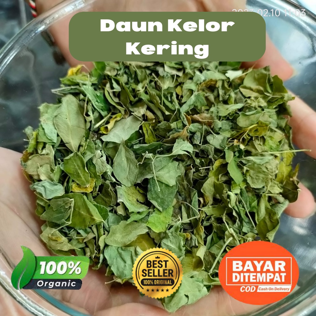 Daun kelor kering super kualitas ekspor