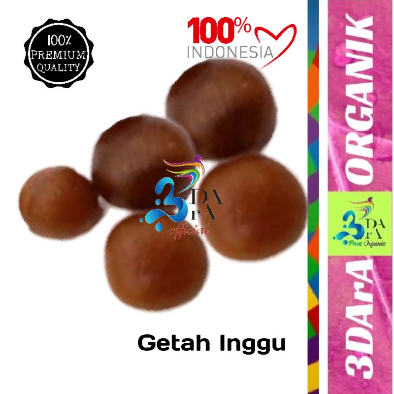 

Getah Inggu (isi 25 butir) Asli Tanpa Campuran
