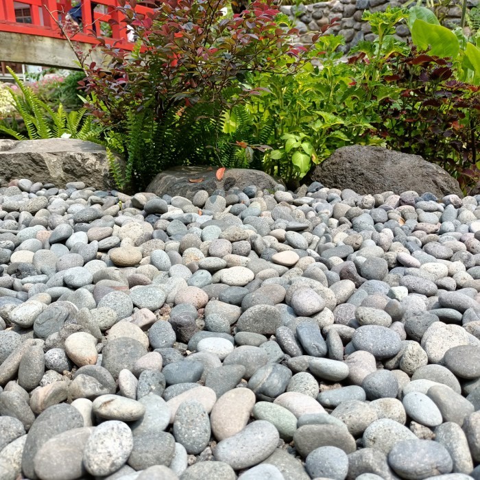 batu coral hitam 1 kg, batu taman hitam, batu aquarium