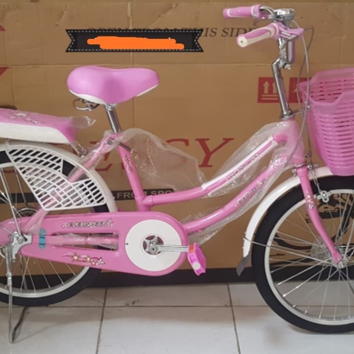 Sepeda Anak Mini 20 Inch Evergreen #Original