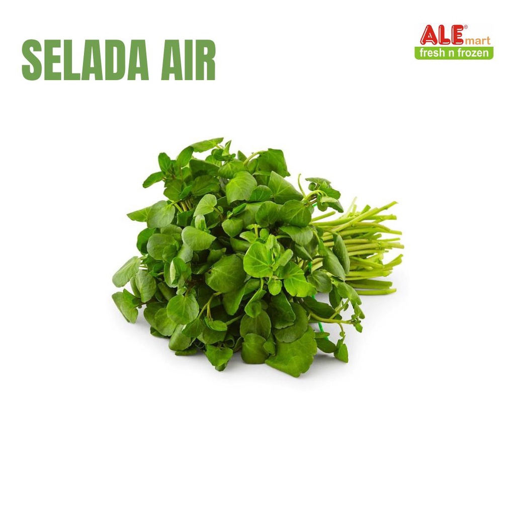

Selada air fresh, sayur selada air segar, selada air