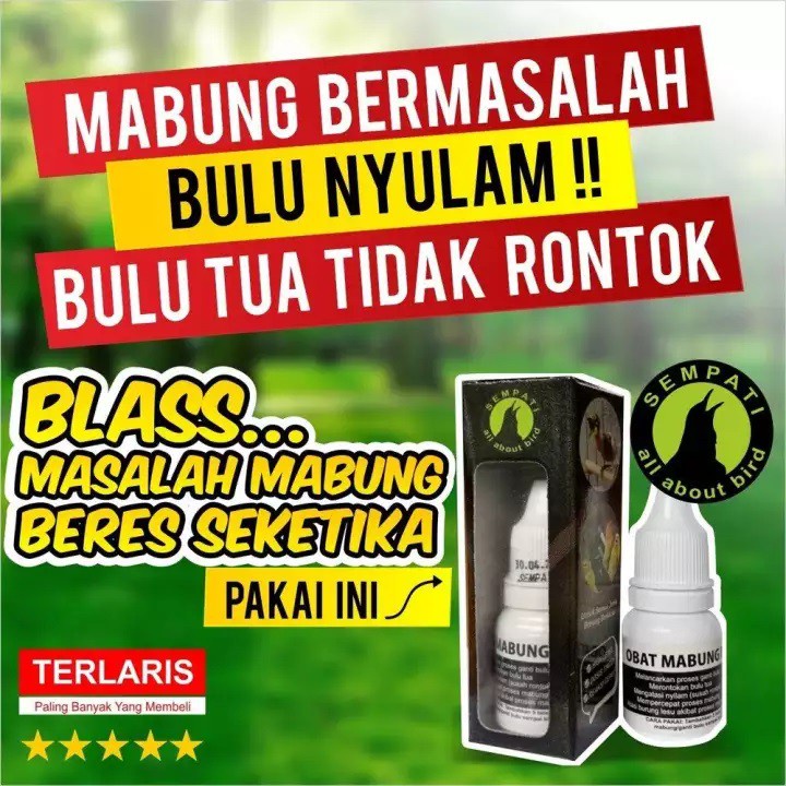 READY OBAT BURUNG MABUNG NGURAK BERMASALAH SEMPATI MENGATASI BULU TIDAK  CEPAT TUMBUH BULU MURAI