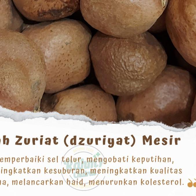 

12.12 HARGA GROSIR MURAH 500 gr Buah Dzuriat Mesir / Buah Zuriat / Buah Doum / Buah Adam Hawa / Buah Zuriyat Promil !!!