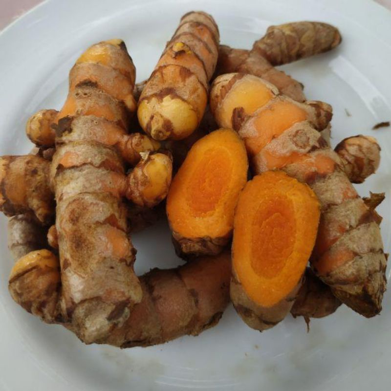 kunyit masak / kunyit kuning segar 500 gram