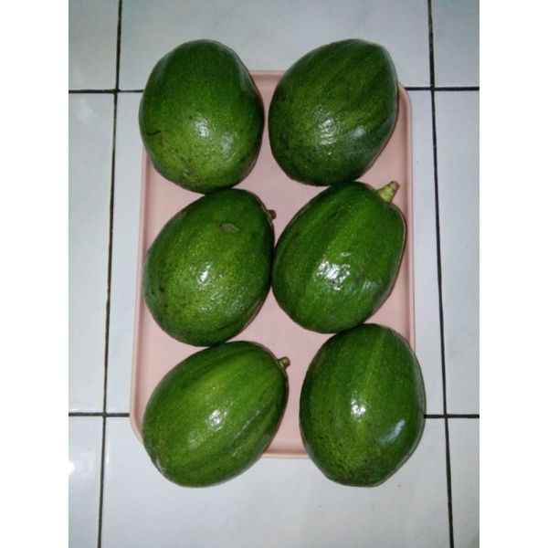 alpukat 1kg / alpukat jumbo/buah alpukat markus