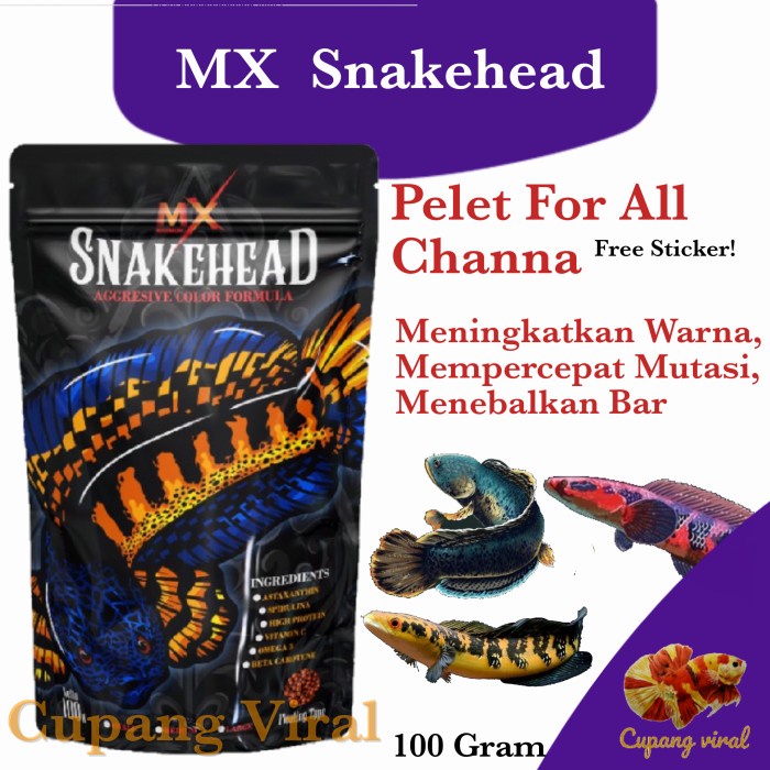 MX - SNAKEHEAD Pelet Warna Channa Color Booster dan Bar 100 Gram