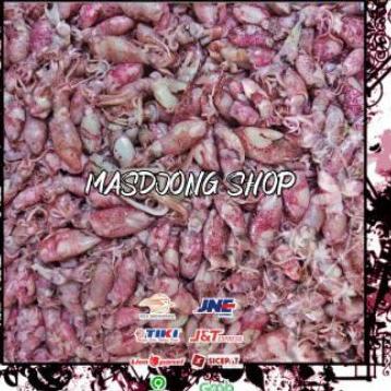 

۞ BABY CUMI TELUR ASIN REBUS SIZE (0.5 - 2cm)(1000gr/1kg). ➪