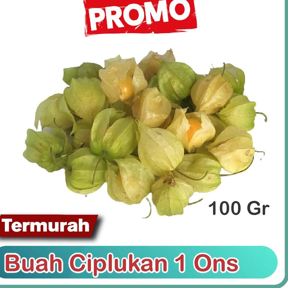 

Ready Stok Jual Buah Ciplukan Murah 100gram / 1ons -Cecenet - Golden berry From Bandung