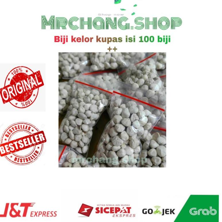 

STAR Biji kelor kupas isi 100pcs