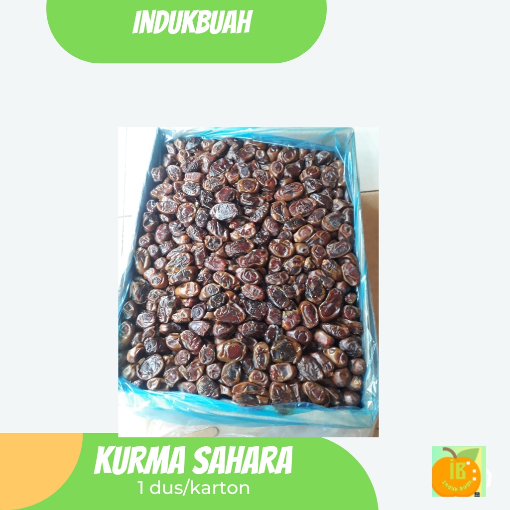 Indukbuah Kurma Sahara 1 Dus 10kg
