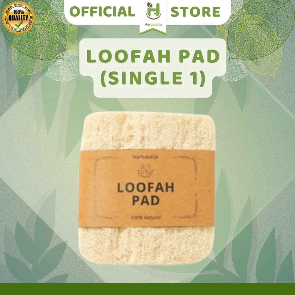 loofah bath sponge / spons mandi loofah exofoliator / serat gambas oyong alami